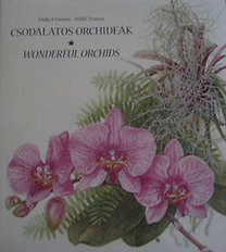 Csodálatos orchideák