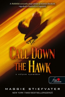 Call Down the Hawk - A sólyom nyomában: Álmodók-trilógia 1.