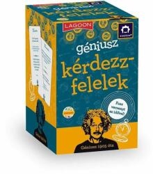Einstein géniusz: Kérdezz-felelek - kártyajáték