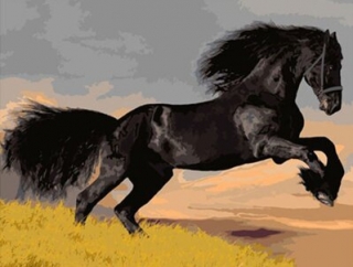 Festés számok szerint: Fekete ló /M1498/