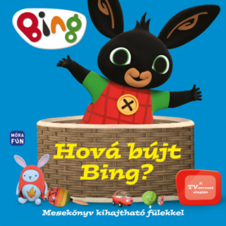 Bing - Hová bújt Bing?: Mesekönyv kihajtható fülekkel