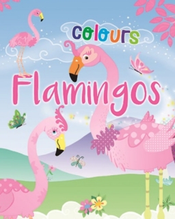 Flamingos - Colours