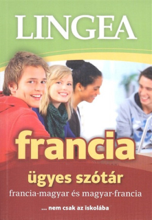 Francia ügyes szótár - Francia-magyar és magyar-francia 