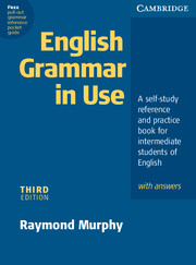 English Grammar in Use with Answers 3rd edition